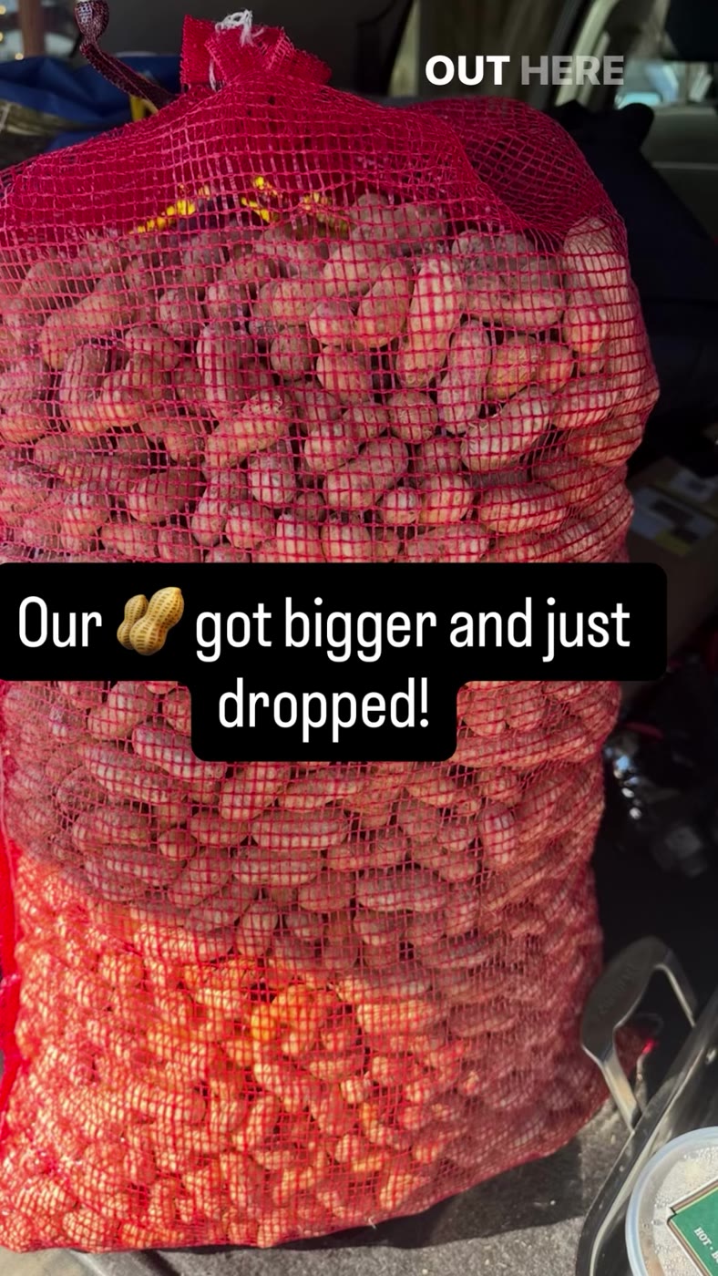 A red mesh sack filled with fresh peanuts in the company’s latest shipment announcement